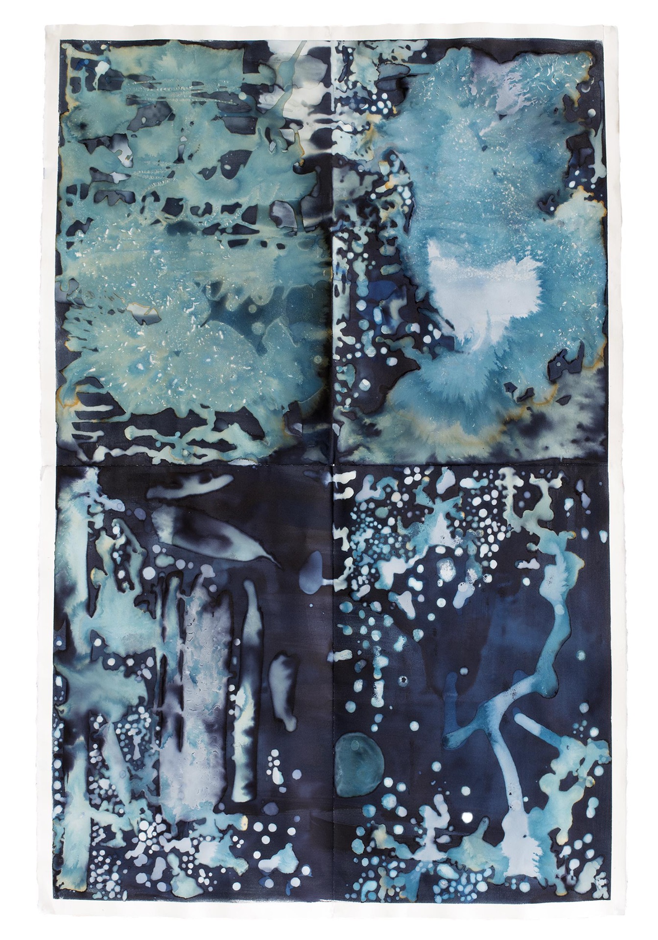 Untitled, Cyanotype