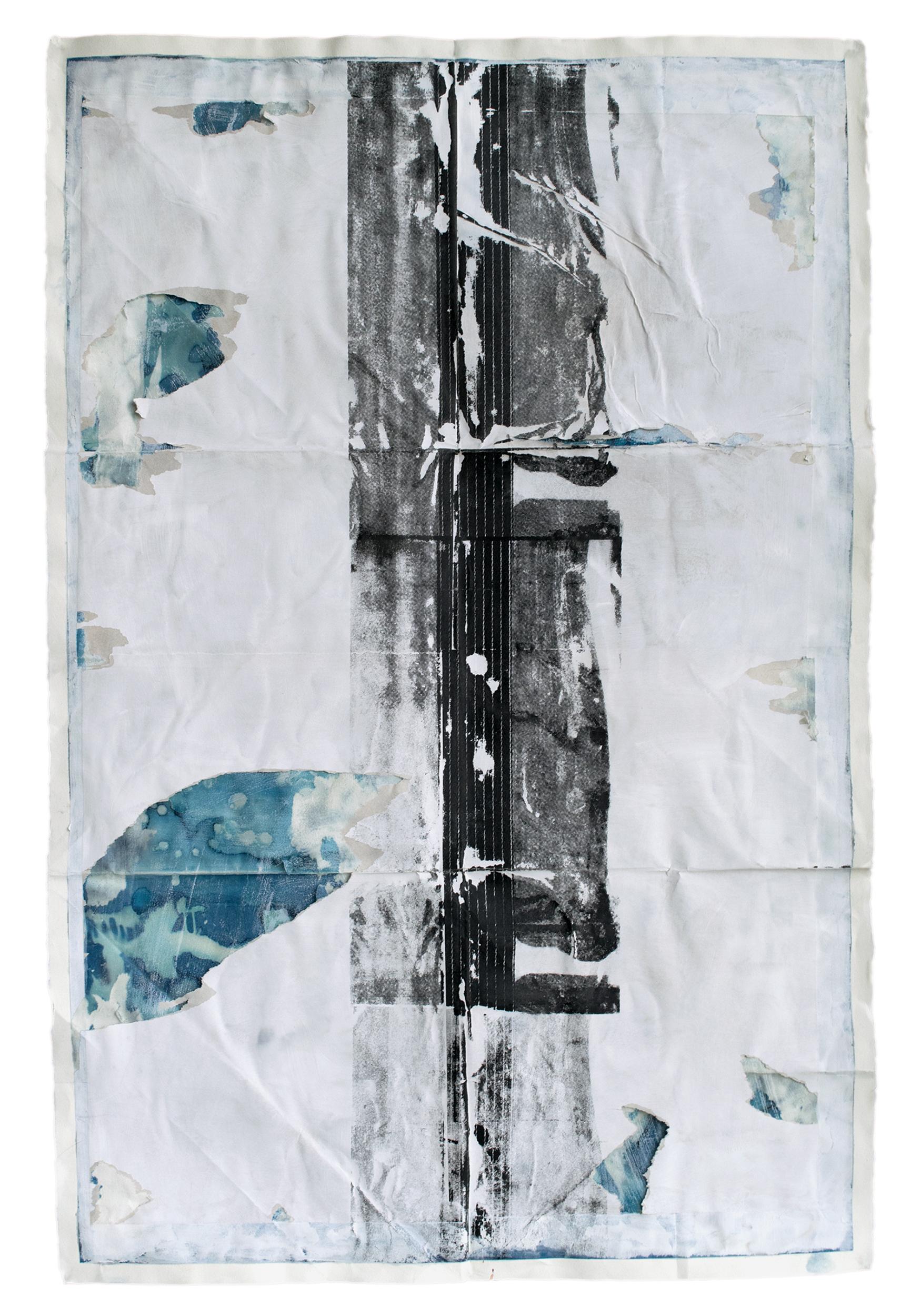 Untitled, Cyanotype with Screen Print